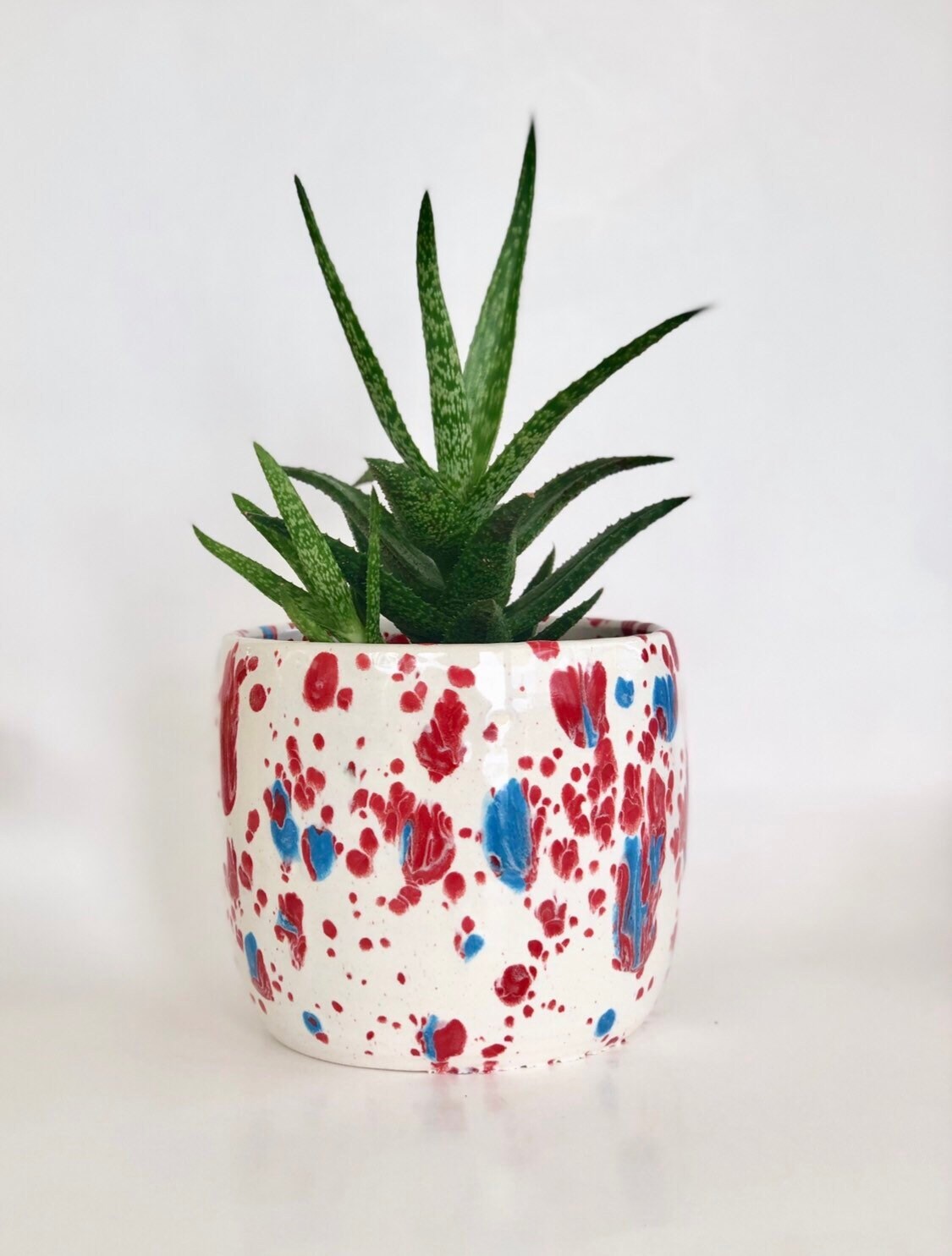 Red White and Blue Flower Pot