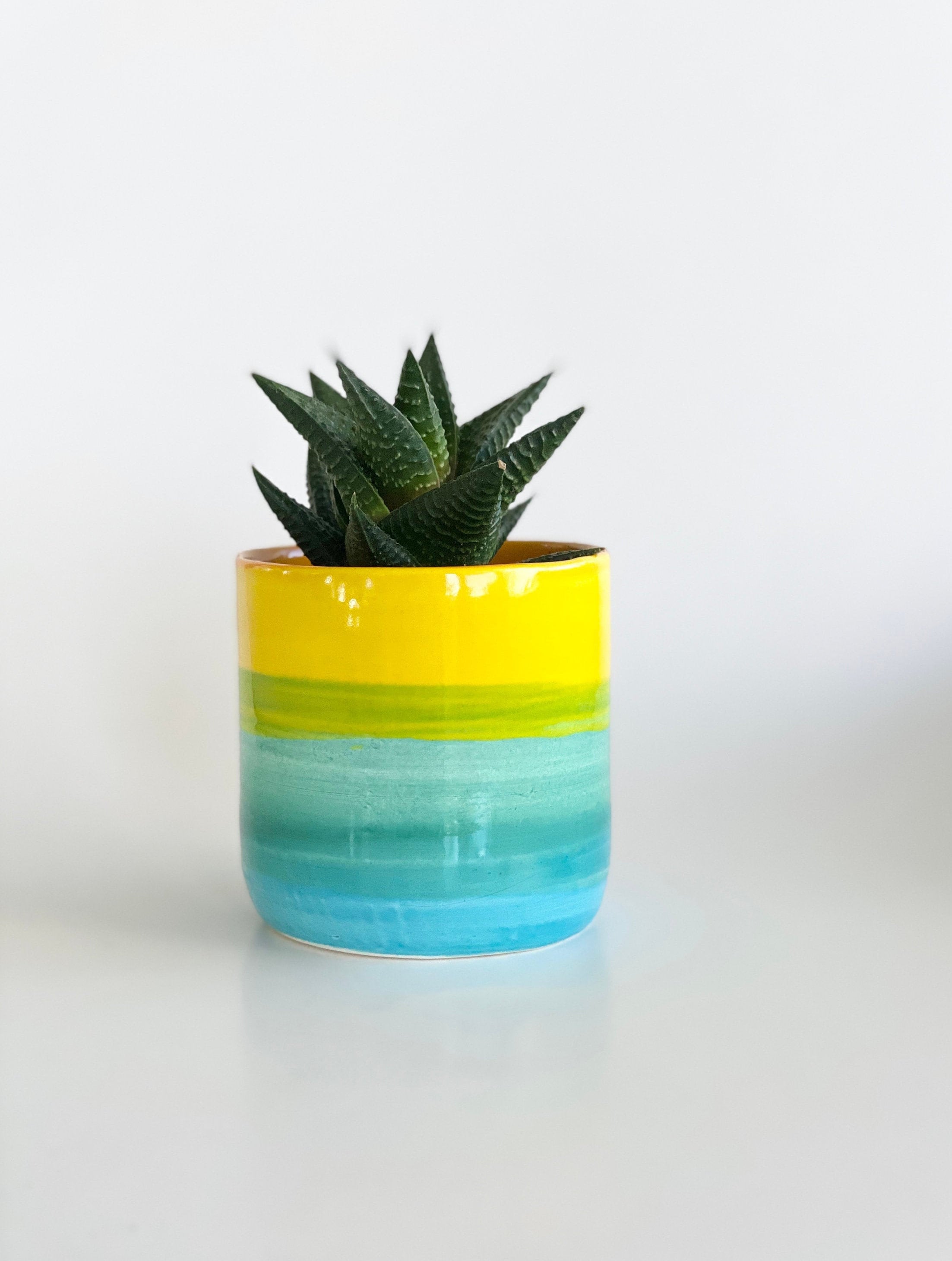 Rainbow Pot, Rainbow Planter, Rainbow Pottery, Colorful Planter