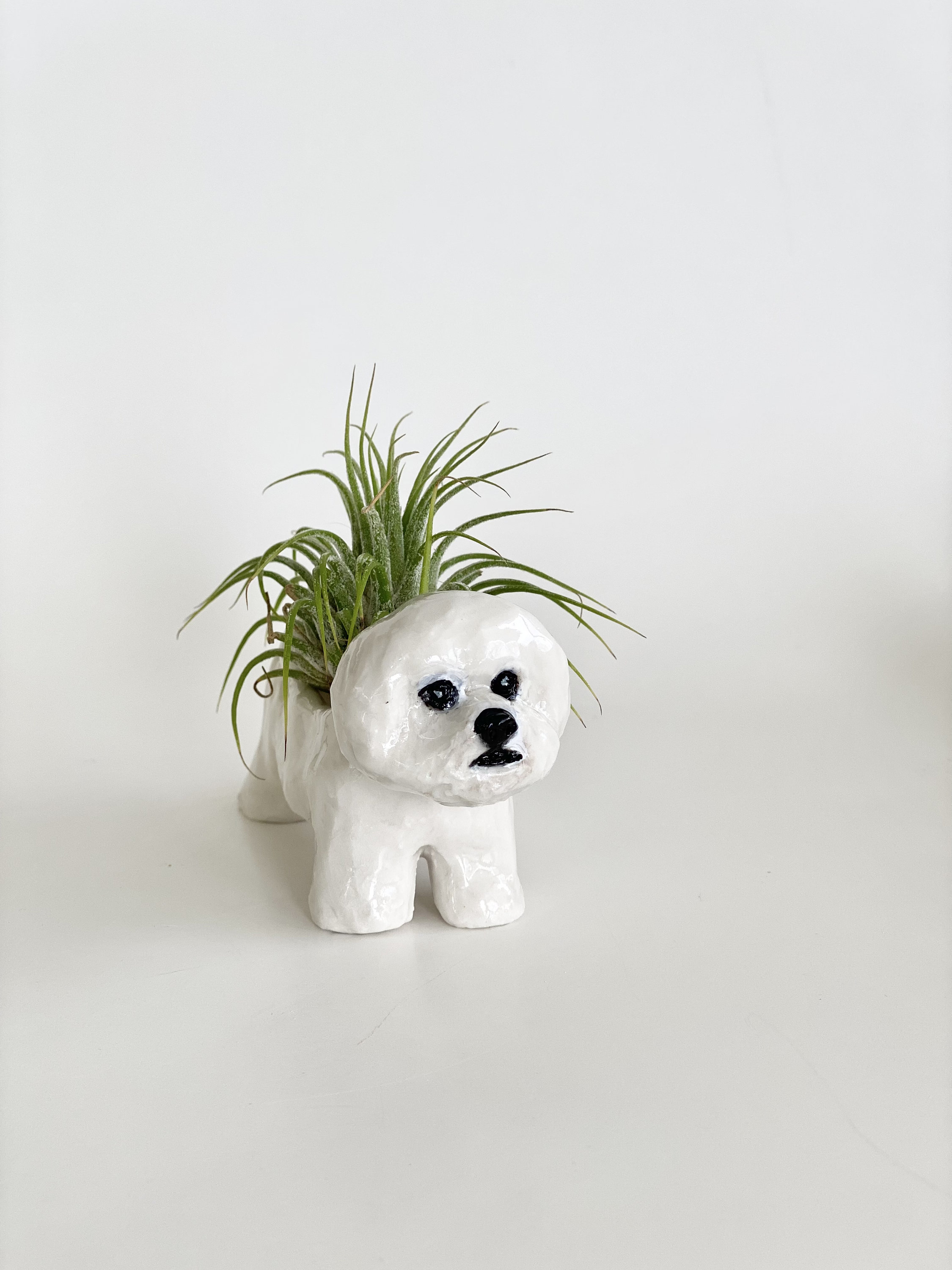 Mini Bichon Air Planter Handmade Bichon Sculpture Air Plant Etsy