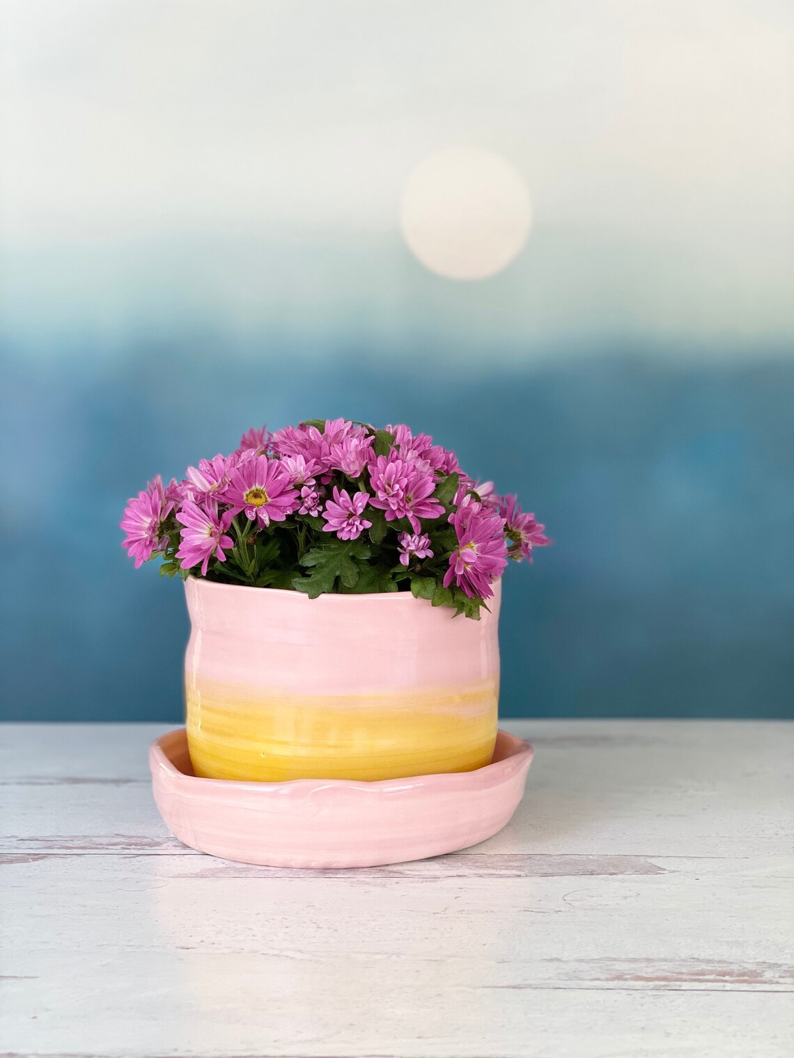 Light Pink Pot Pink Planter Pot Pink Planter Succulent Pot Etsy