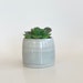 see more listings in the +  Flower Planters Pots section