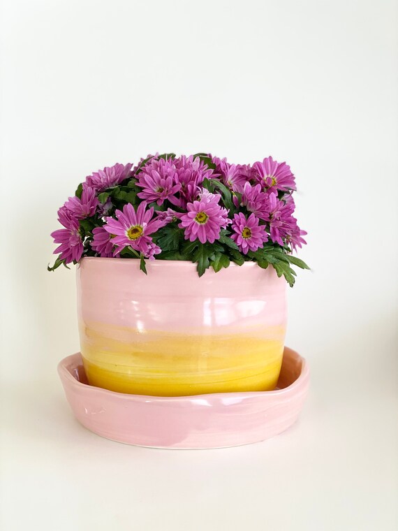 Light Pink Pot Pink Planter Pot Pink Planter Succulent Pot Etsy