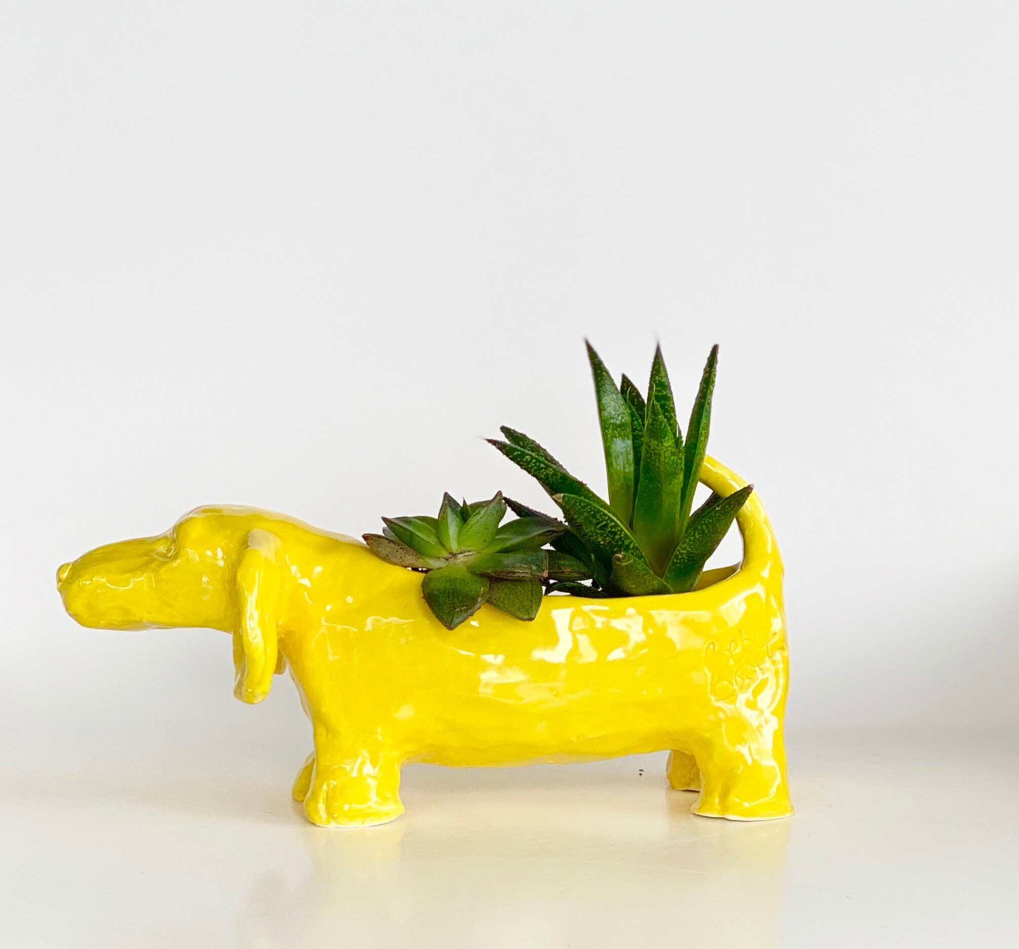 Cute Dachshund Pot, Dachshund Planter, Dog Planter, Dachshund Lover