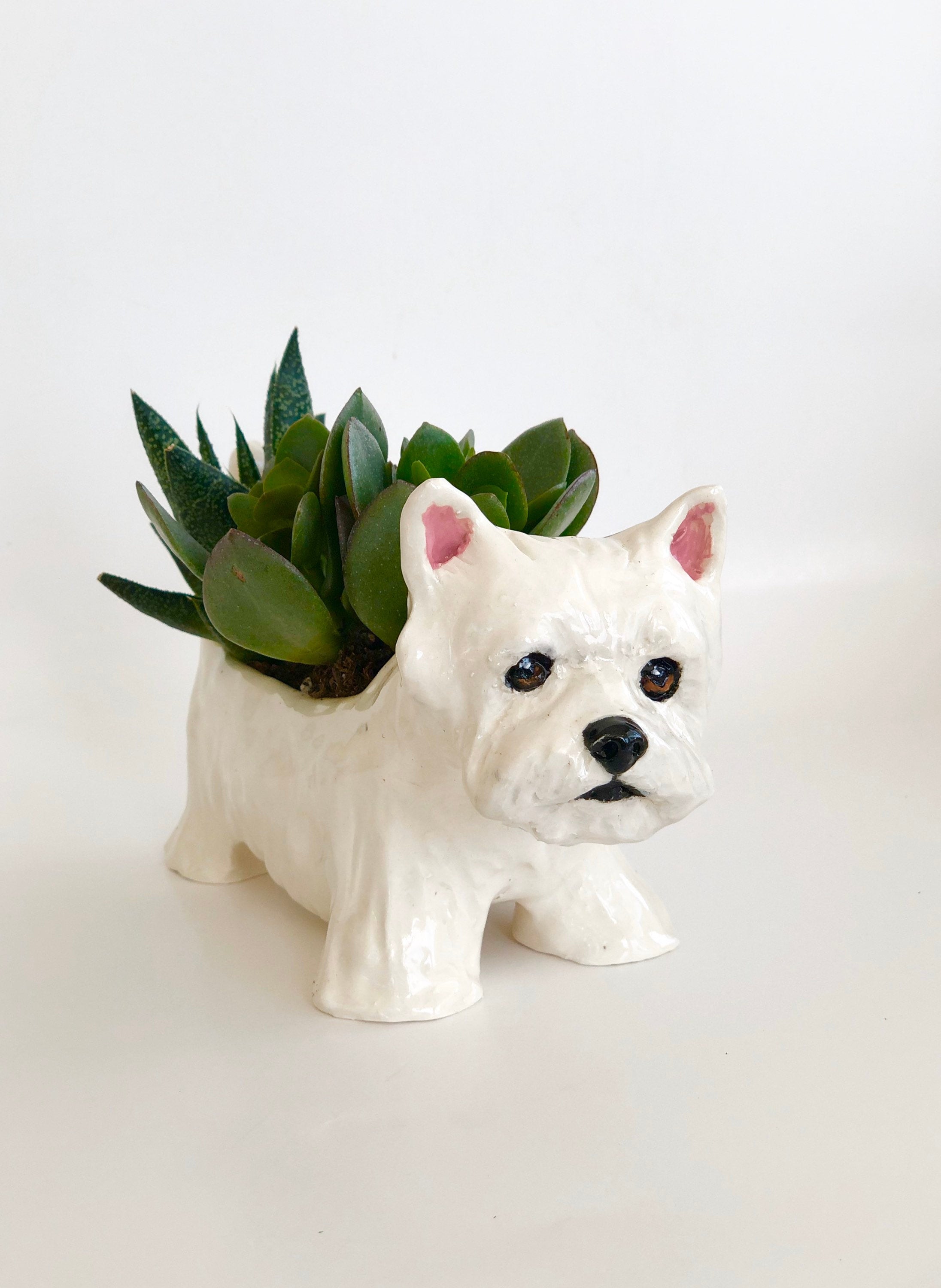 Westie Dog Succulent Planter Planter With Face Dog Succulent Pot Westie Lover Gift West Highland Terrier Dog Planter Dog Pot