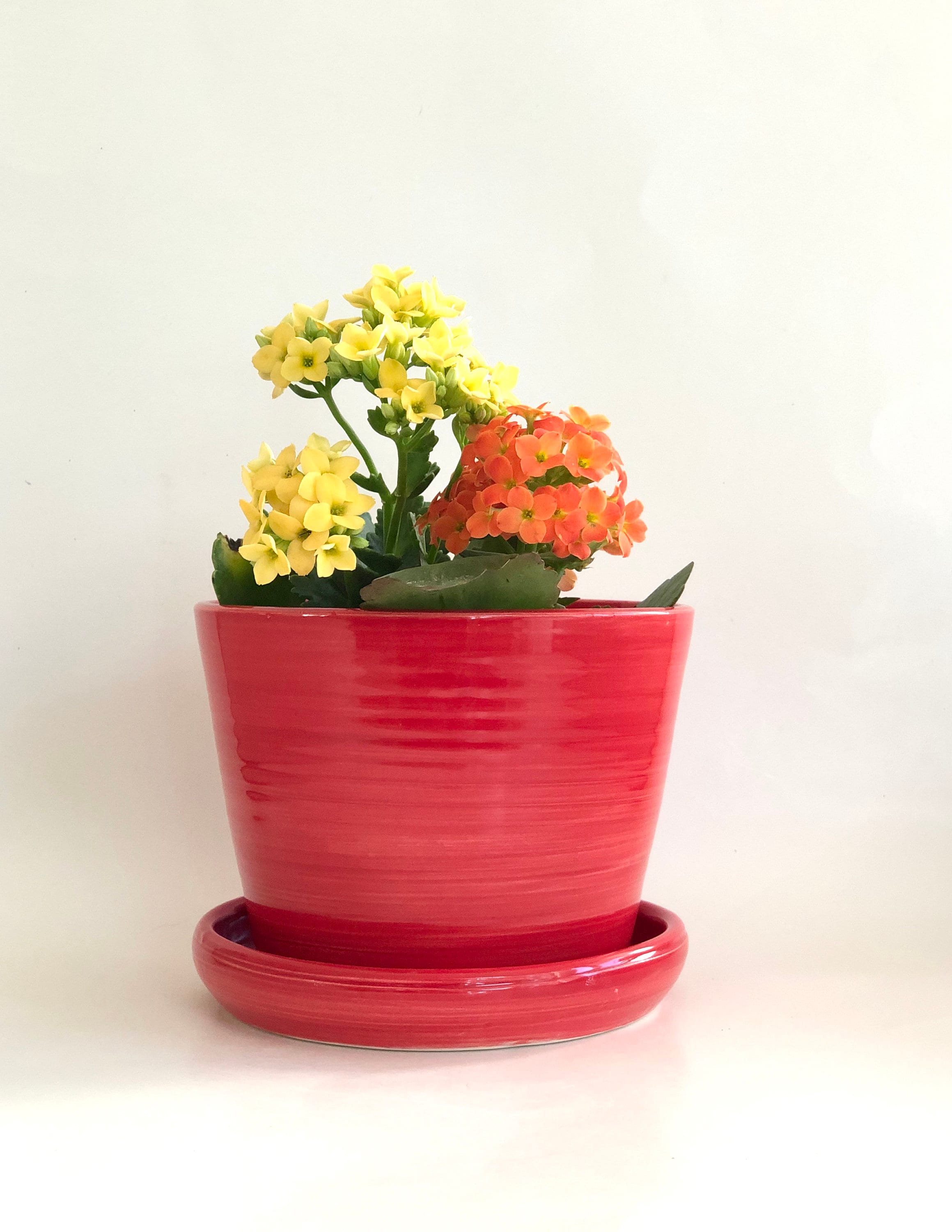 Red Planter with Drainage Holes