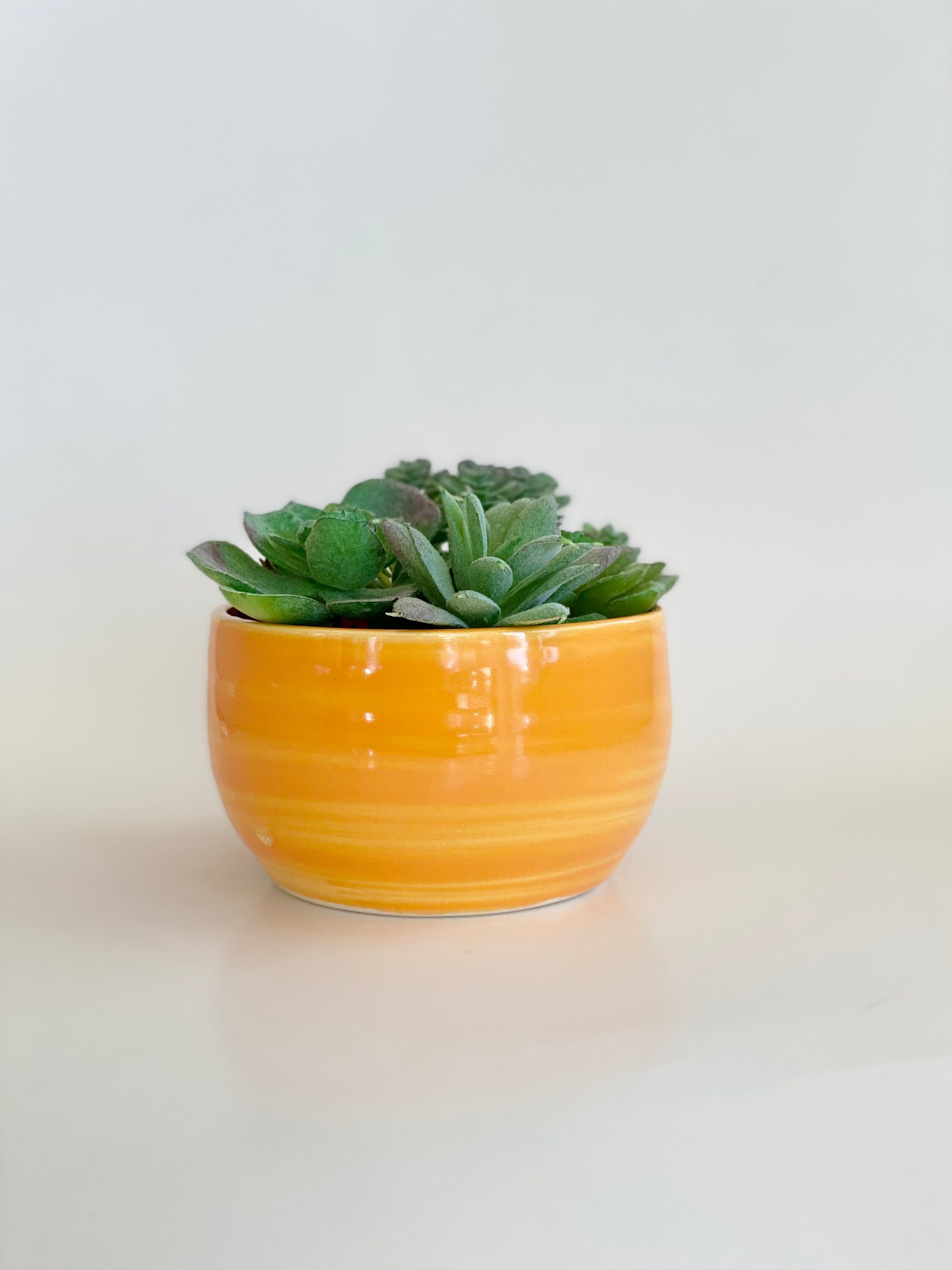Flower Pot, Plant Pot, Planter Pot, Succulent Pot, Cactus Pot, Orange
