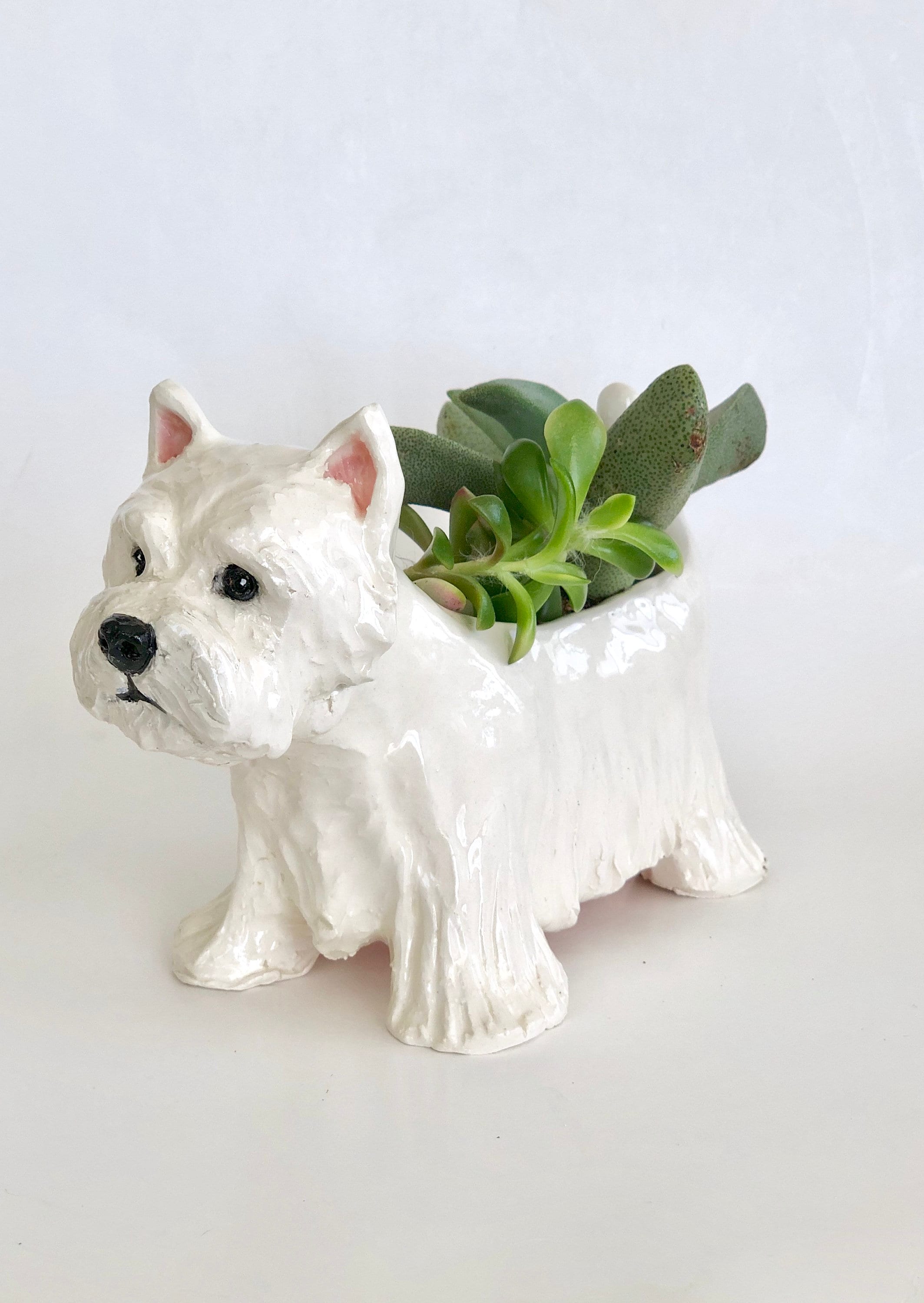 Westie Dog Succulent Planter Handmade Sculpture