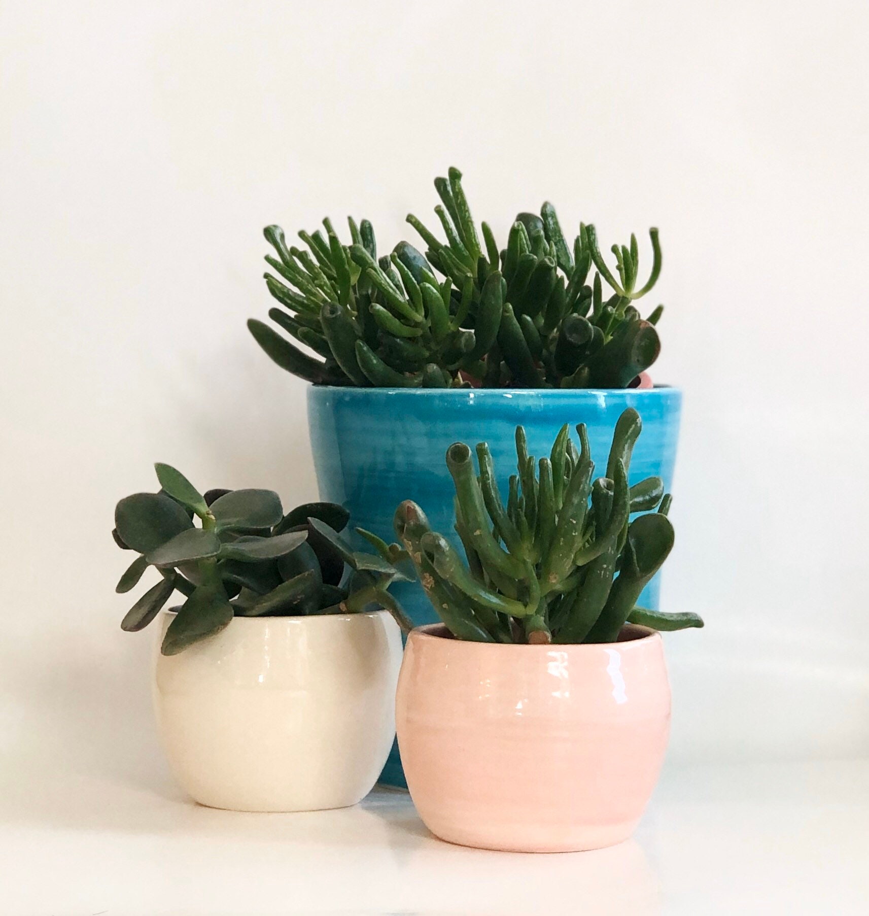 Mini Pink Planter Pot