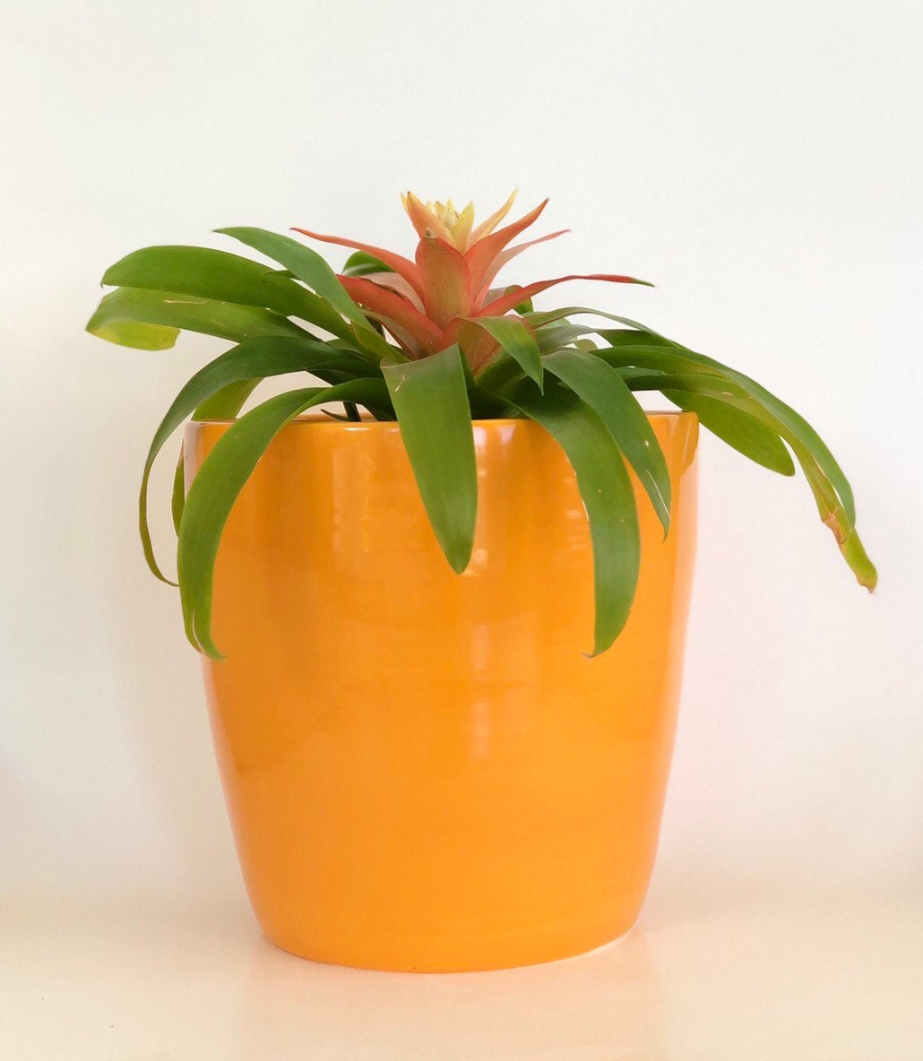 Orange Planter No Drainage Holes