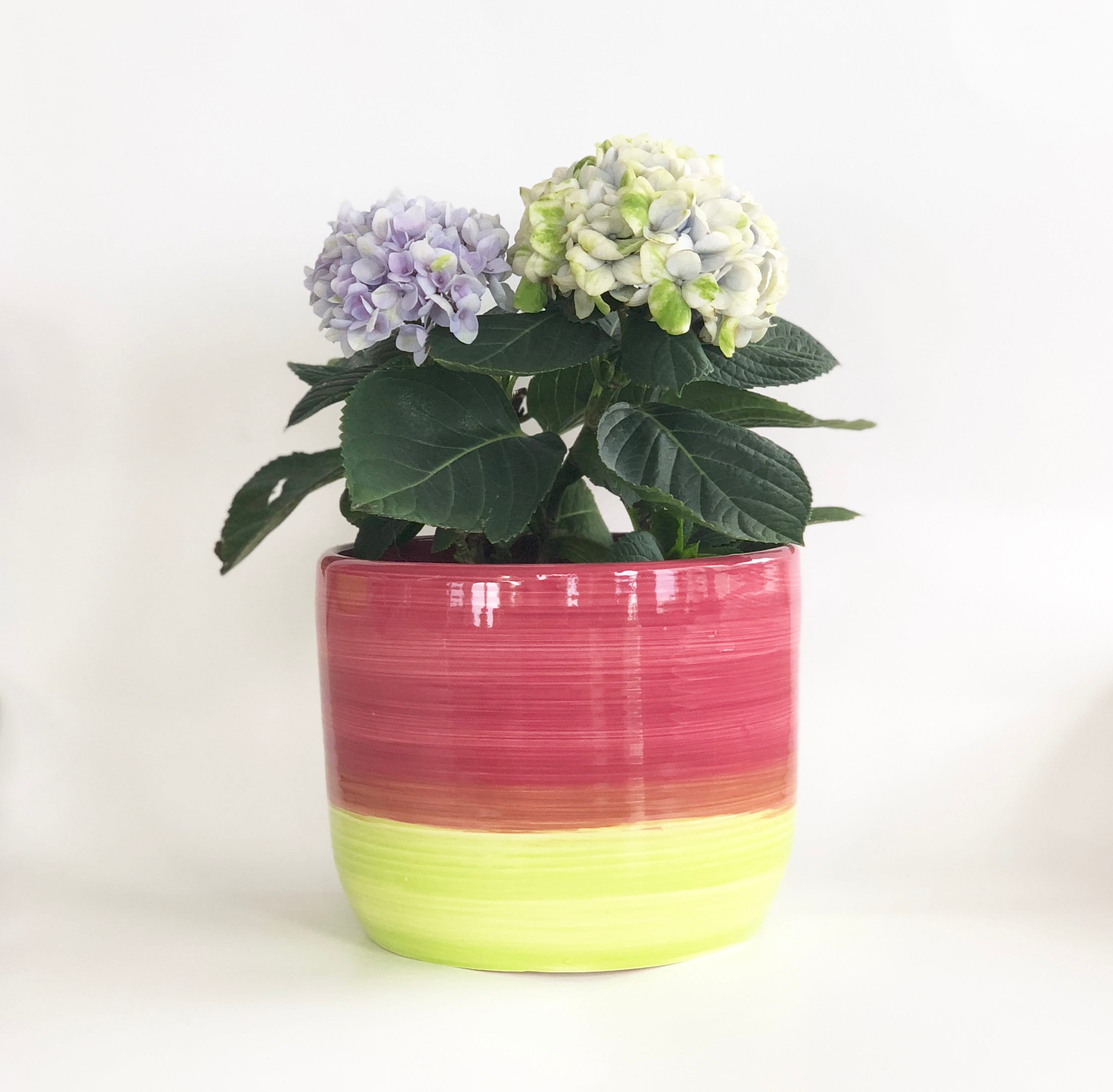 Raspberry Lime Green Planter Pot with Drainage Handmade Wheel Thrown