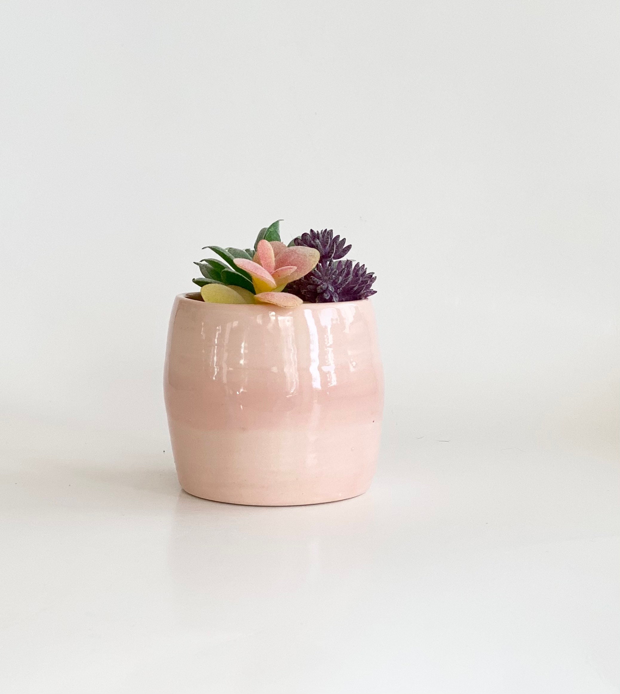 Small Pink Pot, Light Pink Pot, Pink Planter Pot, Succulent Pot, Pink Flower Pot, Indoor Planter
