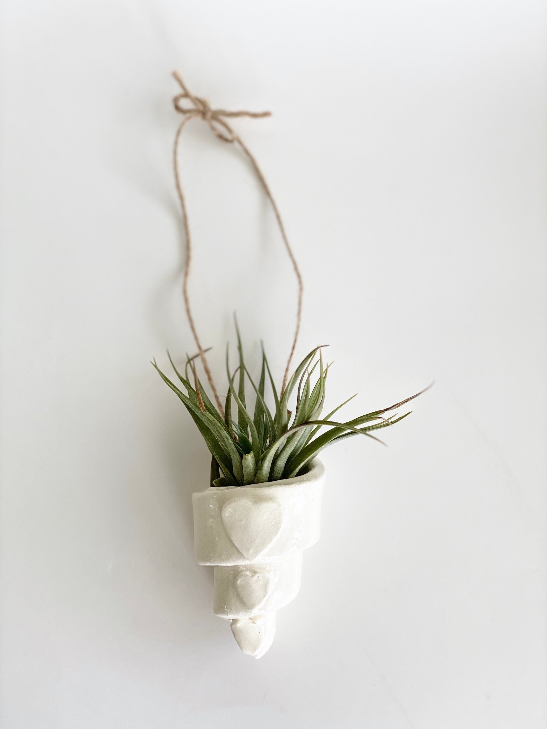 Air Plant Holder, White Wall Planter, Air Plant Wall Holder, Air Plant