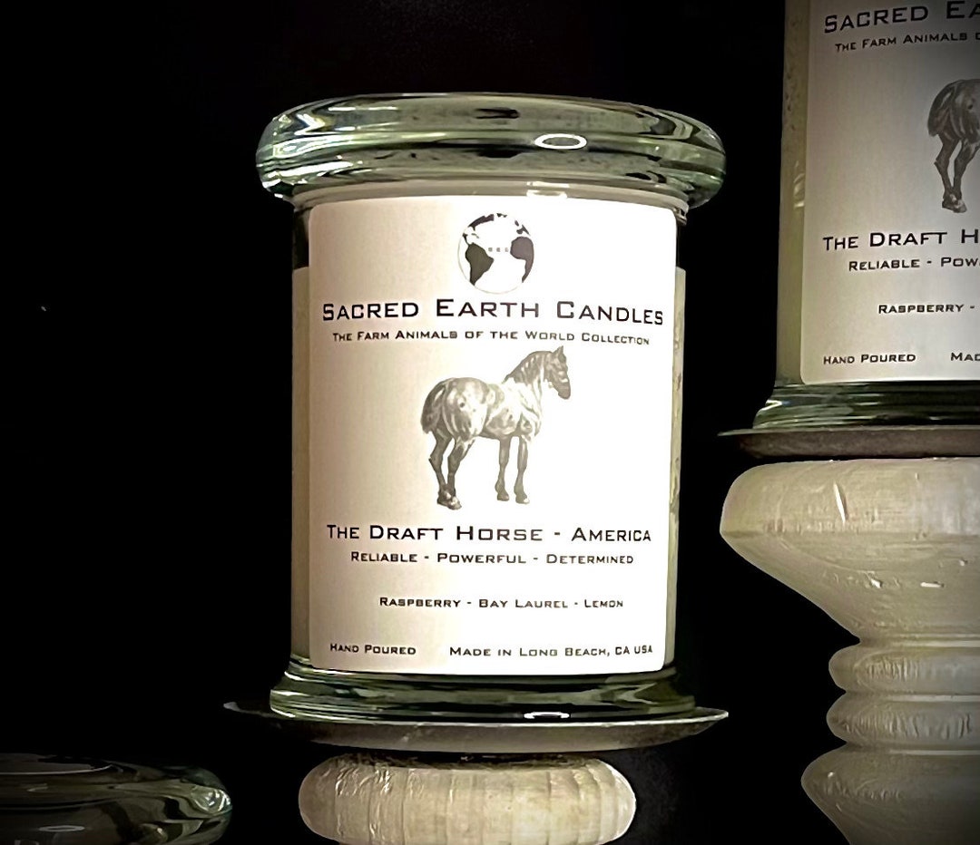 The Draft Horse Candle | Scented Soy Candle - Etsy