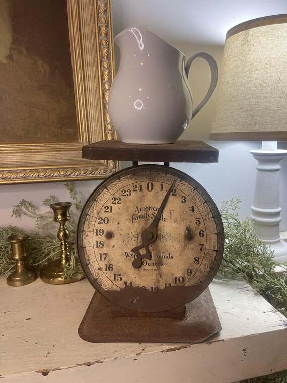 Antique American Family 25 LB Green Rustic Farmhouse Metal Family