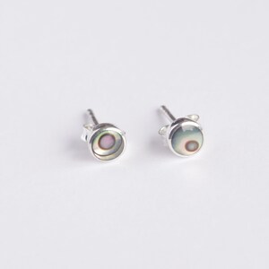 Örhängen i 925 sterlingsilver med naturlig Abalone/Paua-snäcka