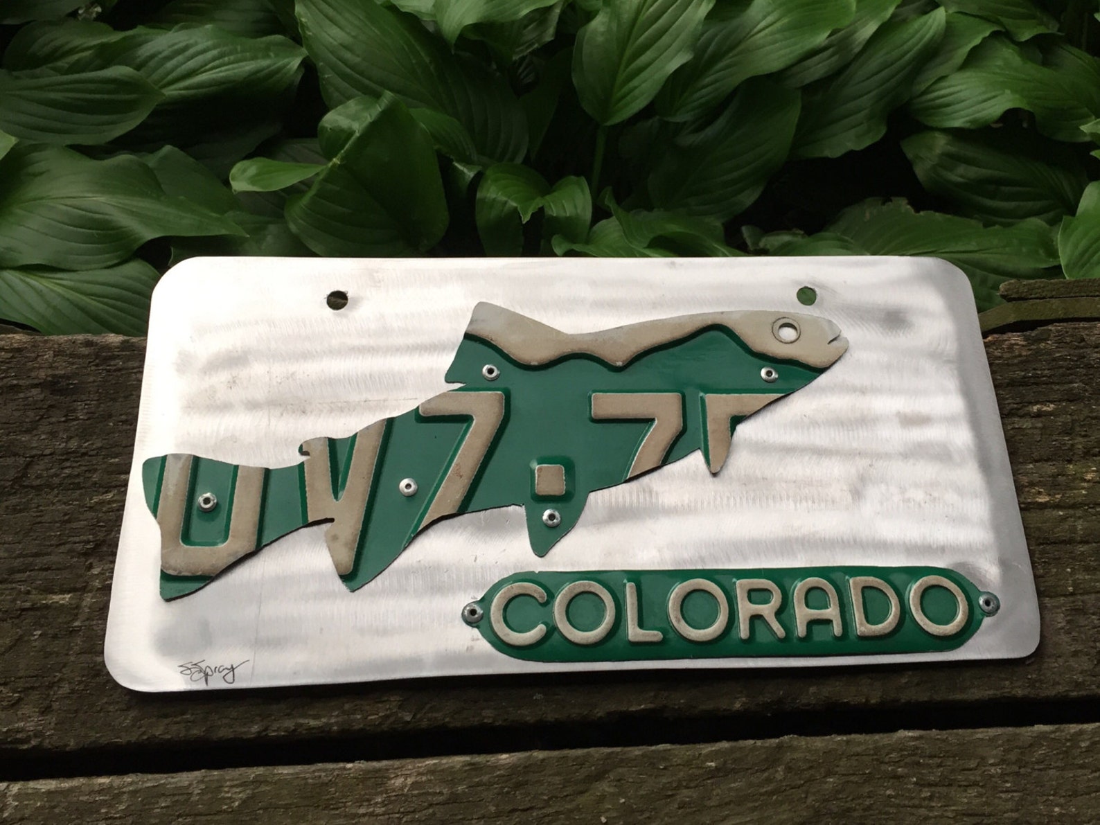Colorado trout front license plate only. Etsy