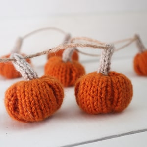 Mini Pumpkin Garland