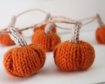 Mini Pumpkin Garland