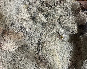 May include: A basket filled with a large amount of dried, light gray Spanish moss. The moss is very fluffy and has a delicate, wispy texture.