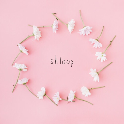 Etsy profile picture for @shloop