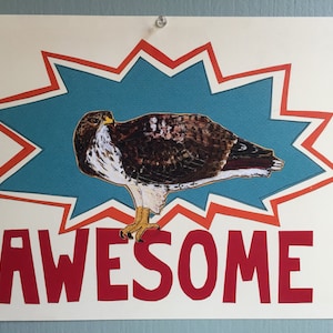 Awesome Hawk Art Print