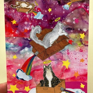 Kosmisches Katzen Beileid