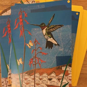 Cartes de correspondance en boîte Colibri