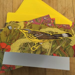 Bird and Moth Boxed Blank Note Cards