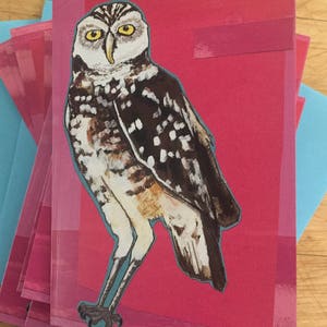 Owl Boxed Note Cards