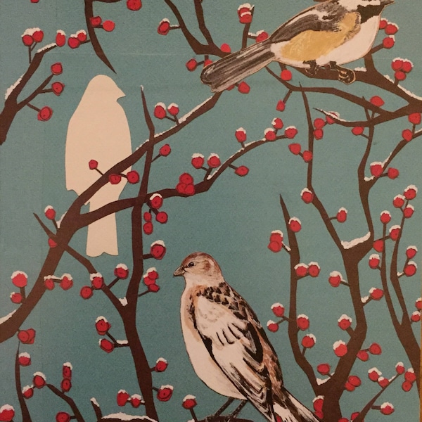 Winter Birds Boxed Holiday Cards