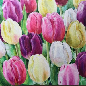 Tulipani multicolori_Acquerello originale_30x40 cm_12x15.5in_Campo di tulipani