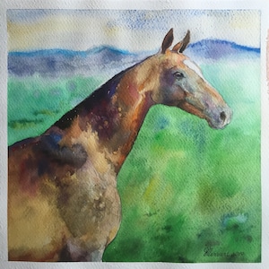 May include: Watercolor painting of a brown horse with a white blaze on its face, standing in a field with green grass and a distant mountain range in the background.