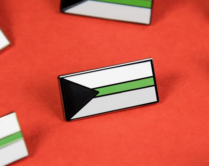 The Demiromantic Flag Enamel Pin