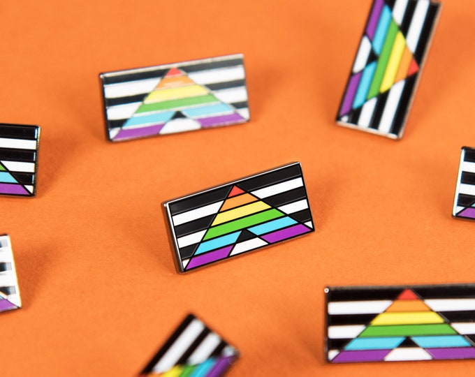 The LGBT Ally Flag Enamel Pin