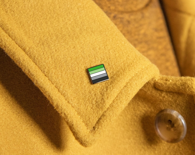 The Mini Aromantic Pride Flag Pin