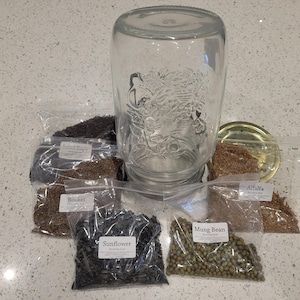Sprouting Seeds Growing Kit DIY – Grow Fresh & Healthy Sprouts at Home!