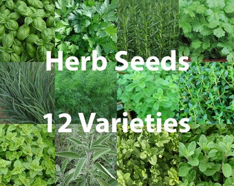 May include: A collage of 12 different types of herbs, including basil, parsley, rosemary, cilantro, chives, dill, oregano, sage, mint, and thyme. Herb Seeds 12 Varieties.