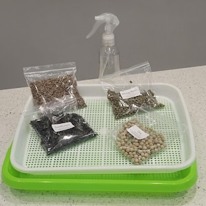 Sprouting Seeds Growing Kit DIY – Grow Fresh & Healthy Sprouts at Home!