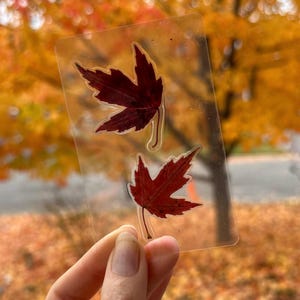 Vere foglie d'acero canadesi Duo - Portafoglio laminato/Segnalibro - Regalo/Souvenir canadese - Prodotto in Canada