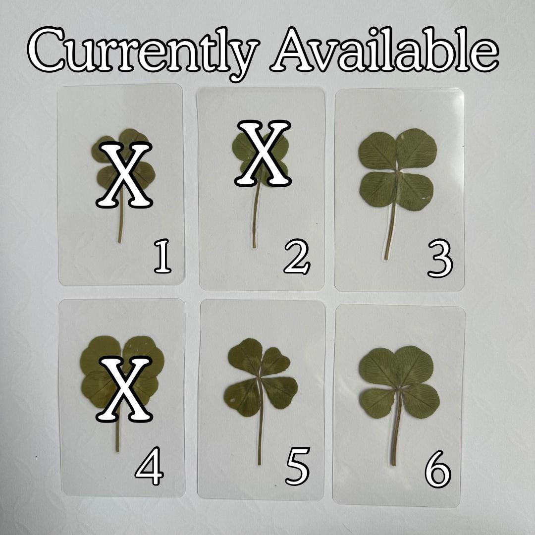 Real Four Leaf Clover Laminated Bookmard Walket Card: Lucky Irish