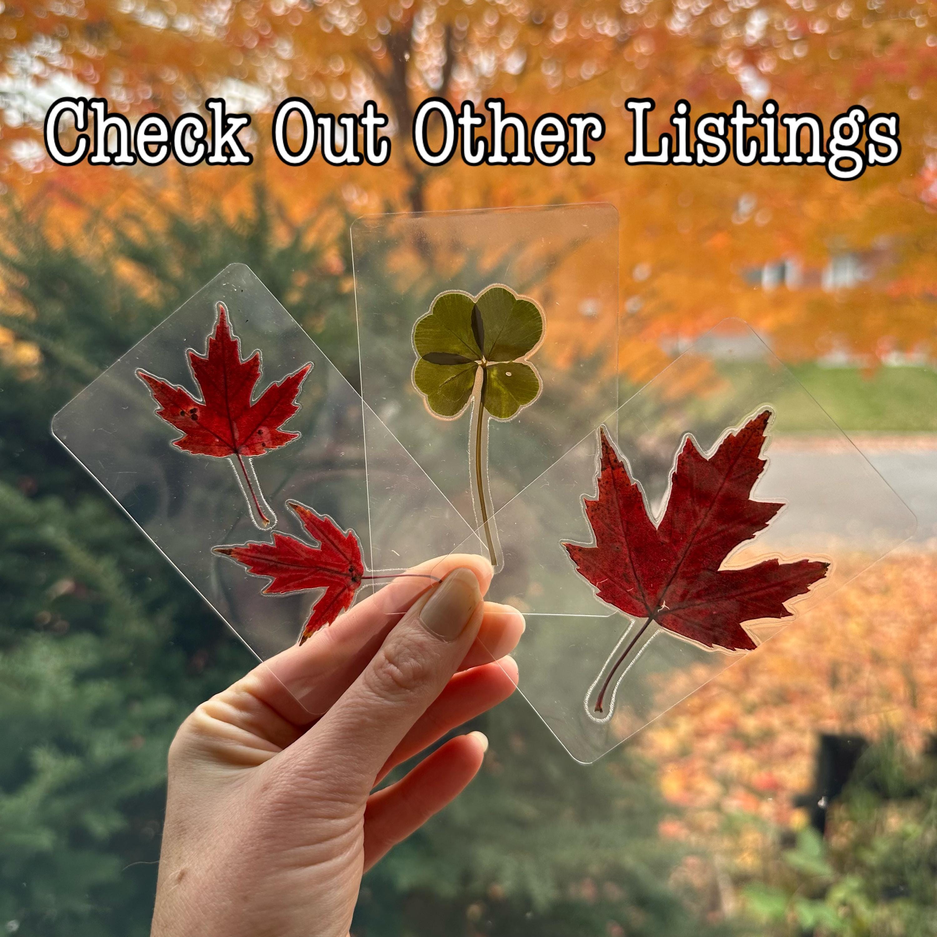 本物の四つ葉のクローバーのラミネート加工ブックマークカード：幸運の