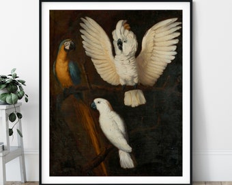 Parrots Print - Parrot Painting, Bird Art, Cockatoo, Parakeet, Macaw, Cockatiel, Bird Watcher Gift, Bird Fine Art Poster, 17th Century