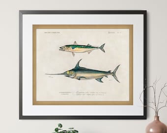 1892 Antique Fish Print - Vintage Fish Art, Fishing Gifts for Men, Fish Wall Decor, Fisherman Gift, Mackerel Swordfish, Gifts for Dad,