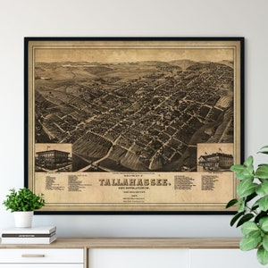May include: An antique map of Tallahassee, Florida, showing the city layout and surrounding area. The map is printed in black and white on a beige background. The text on the map reads "View of the City of Tallahassee, State Capital of Florida, Leon County, 1888, 200 Feet above Sea Level."