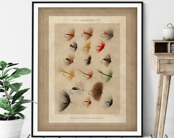 1892 Antique Hackle Flies Print - Vintage Fish Art, Fly Fishing Gifts for Men, Angling Fish Art, Fish Print, Fisherman Gift, Lures Hackles