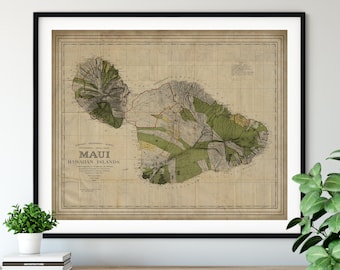 1906 Maui Map Print, Vintage Map Art, Antique Map, Old Map, Maui Map Art, Maui Gift, Maui Print, Maui Art, Hana, Wailuku, Lahaina, Kaanapali