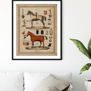 May include: An antique illustration of two horses with various horse tack and equipment. The illustration is in black and white with brown and red accents. The text on the illustration reads "Jockey" and "Carriere 27. Man."