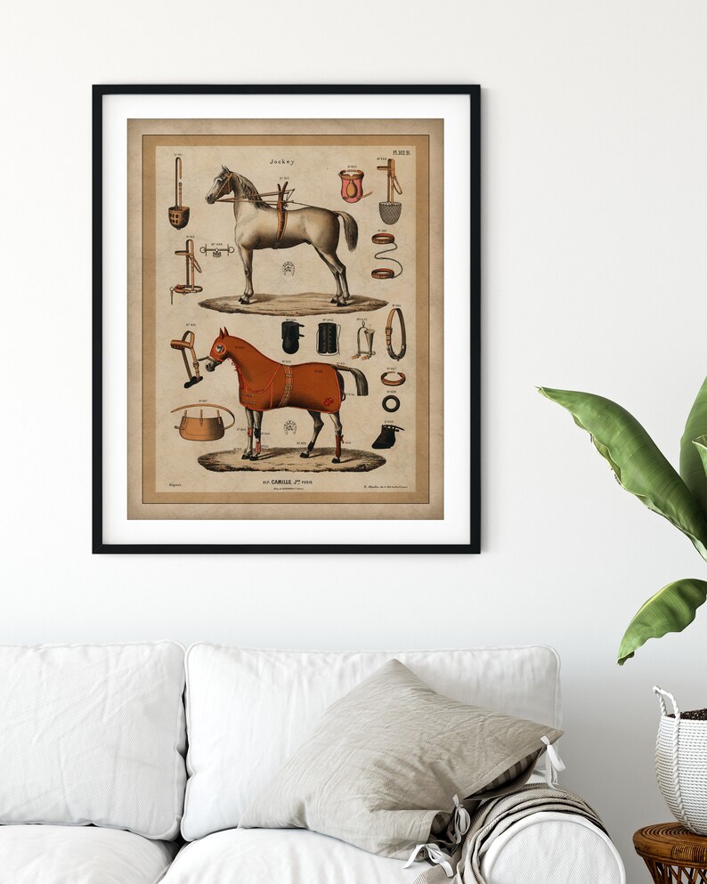 May include: An antique illustration of two horses with various horse tack and equipment. The illustration is in black and white with brown and red accents. The text on the illustration reads "Jockey" and "Carriere 27. Man."
