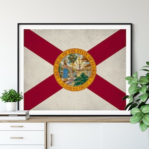 Florida Flag Art, Florida Flag Print, State Flag Poster, FL Flag Painting, Living Room Art, State Pride Gifts, Florida Wall Art, Hallway Art