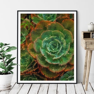 Succulent Print - "Green" - Botanical Oil Painting Poster, Plant Wall Decor, Living Room Artwork, Bathroom Wall Art, Gardener Gift, Office
